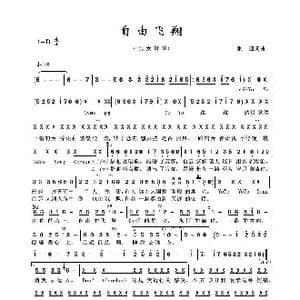 自由飞翔_歌谱投稿_词曲:张超 张超