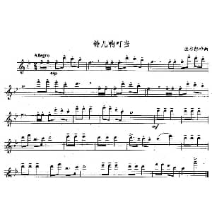 长笛曲谱 | 铃儿响叮当 美 彼尔彭特