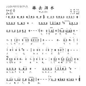抹去泪水_歌曲简谱_词曲:卡斯 陈宏