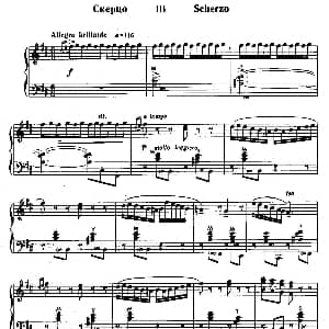 手风琴谱 | b小调奏鸣曲 第三乐章 尼古拉 亚科夫列维奇 柴金