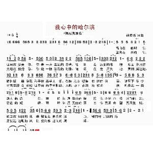 我心中的哈尔滨_歌曲简谱_词曲:孙成秀 孙成秀