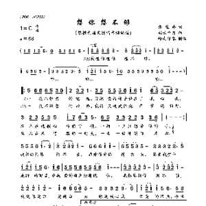 想你想不够_歌曲简谱_词曲:张桂海 轻云望月