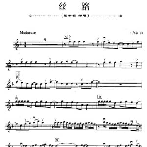 小提琴谱 | 丝路 王力宏