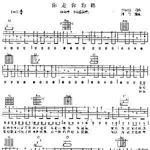 你走你的路 吉他谱 陈淑桦 李宗盛 李宗盛