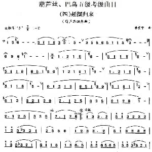 巴乌五级考级曲目 赶摆归来 李贵中