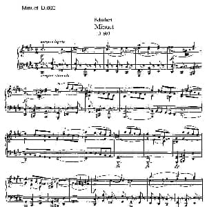 Minuet D.600  米奴哀小步舞曲D.600 钢琴谱