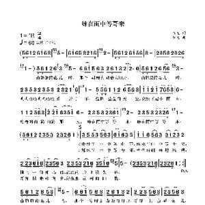 妹在雨中等哥来_歌曲简谱_词曲:袁龙 袁龙