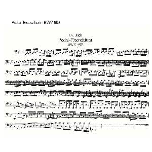 Pedal Exercitium BWV 598 管风琴谱