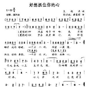 好想抓住你的心_通俗唱法乐谱_词曲:王德清 孙洪斌 雍鉴君