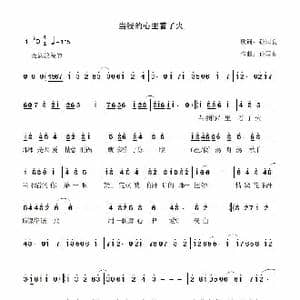 当我的心里着了火_歌曲简谱_词曲:孙国良 孙国良