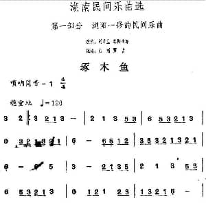 琢木鱼 湖南民间乐曲选 洪滔 贾古记谱