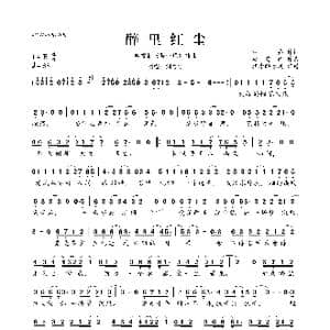 醉里红尘_歌曲简谱_词曲:林乔 杜雯媞
