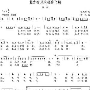 北方有只天鹅在飞翔_民歌简谱_词曲:胡天麟 李林