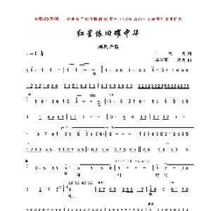红星依旧耀中华_歌曲简谱_词曲:丁达宾 金苗苓 丁达宾