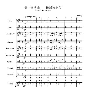 第一交响曲 愤怒的小鸟 第一乐章 谁动了我的蛋