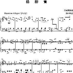 杨柳青_歌谱投稿_词曲: 沈建国编曲