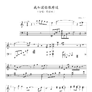 我知道你很难过 钢琴谱 Fifi