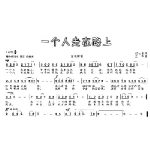 一个人走在路上_通俗唱法乐谱_词曲:付云青 王华