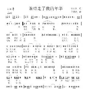 谁带走了我的年华_歌曲简谱_词曲:李大江 任清彪