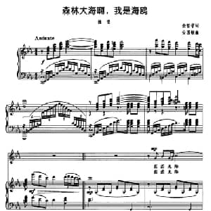 森林大海啊,我是海鸥_美声唱法乐谱_词曲:金哲学 安国敏