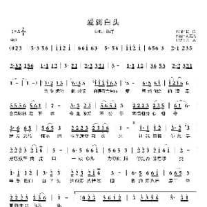 爱到白头_歌谱投稿_词曲:杨洋 刘宏杰