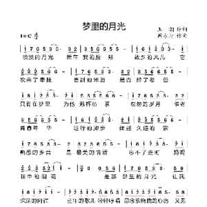 梦里的月光_歌曲简谱_词曲:王潮 周永财
