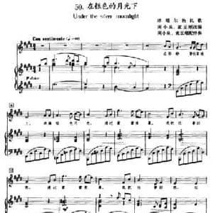 在银色的月光下_民歌简谱_词曲: 塔塔尔族民歌 周小泉 袁至刚改伴奏