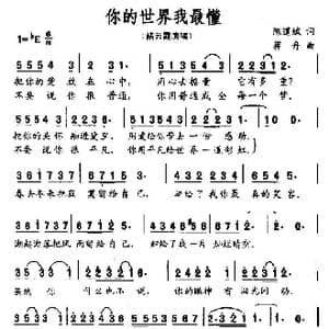 你的世界我最懂_歌曲简谱_词曲:陈道斌 蒋舟