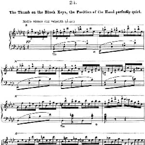 50首车尔尼Op.740钢琴手指灵巧技术练习曲 钢琴谱 车尔尼