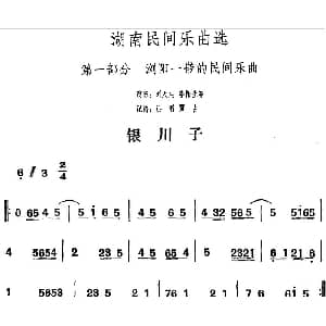 银川子 湖南民间乐曲选 洪滔 贾古记谱