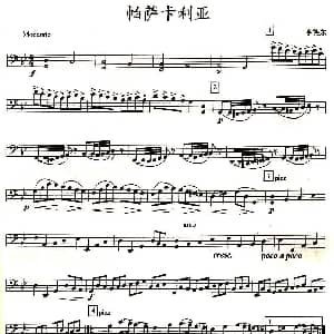 帕萨卡利亚 四重奏之大提琴