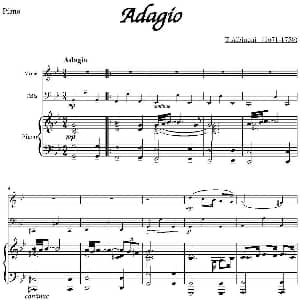 Adagio 小提琴 大提琴 钢琴伴奏 T.Albinoni作曲版 T.Albinoni