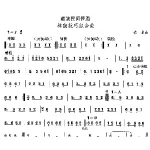 中国民族民间舞曲选 七 藏族舞蹈 转翻技巧组合