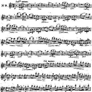 长笛曲谱 | 二十首练习曲作品131号 NO.9 Garibold 加里波第