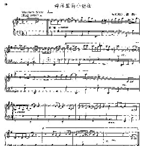 手风琴谱 | 森林里的小动物 塞内维尔 图森