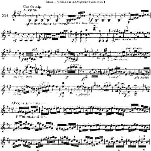 小提琴谱 | 马扎斯小提琴练习曲 Op.36 第一册 特殊练习曲 29