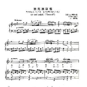 我充满激情_歌谱投稿