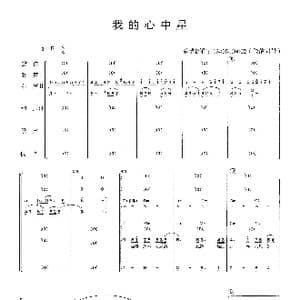 我心中的星_歌曲简谱