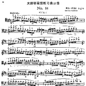 大提琴高级练习曲40首 No.14 戴维 波帕尔