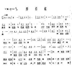 醉西施 十番音乐