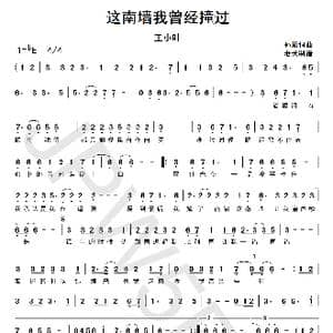 这南墙我曾经撞过_歌曲简谱_词曲:孙放 孙放