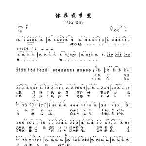 你在我梦里_歌曲简谱_词曲:庄奴 野崎真一