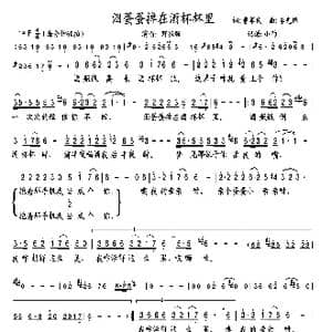 泪蛋蛋掉在酒杯里_歌谱投稿