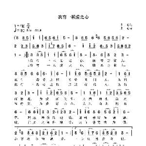 我有一颗爱之心_歌曲简谱_词曲:袁龙 袁龙