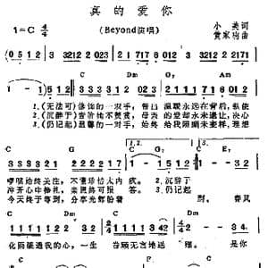 真的爱你_歌谱投稿_词曲:小美 黄家驹