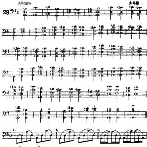 鲍斯特列姆大提琴练习曲 28 30