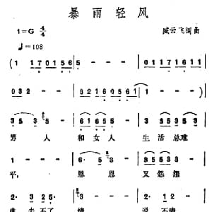 暴雨轻风_通俗唱法乐谱_词曲:臧云飞 臧云飞