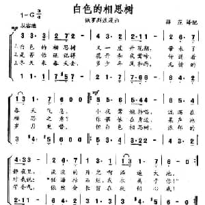 白色的相思树 俄罗斯 _外国歌谱