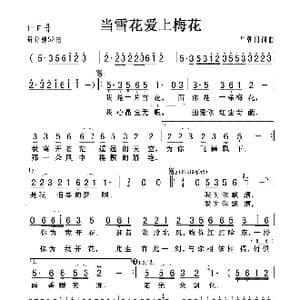 当雪花爱上梅花_歌曲简谱_词曲:牛朝阳 牛朝阳