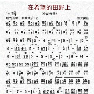 在希望的田野上_歌曲简谱_词曲: 李国林配器